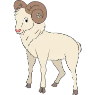 Carnero