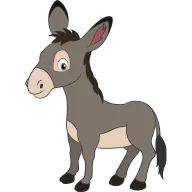 Burro