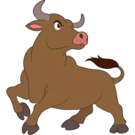 Toro