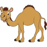 Camello
