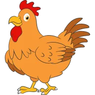 Gallina