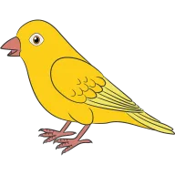 Canario