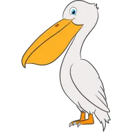 Pelícano