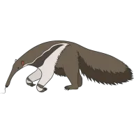 Oso Hormiguero
