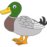 Pato