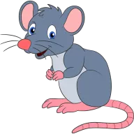 Ratón