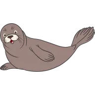 Foca