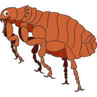 Pulga