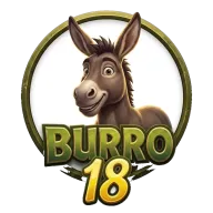 Burro