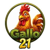 Gallo