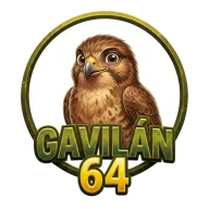 Gavilán