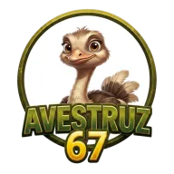 Avestruz