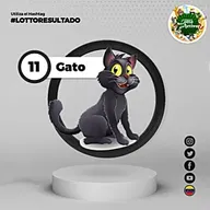 Gato