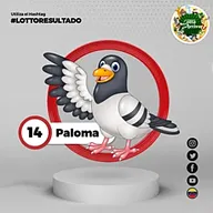 Paloma