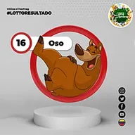 Oso