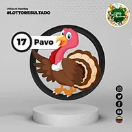 Pavo