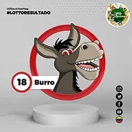Burro