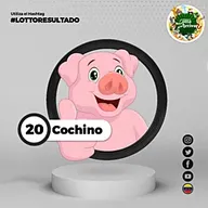 Cochino