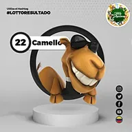 Camello