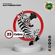 Cebra