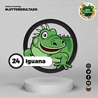 Iguana