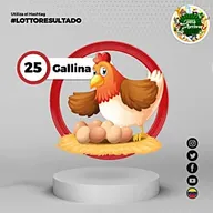 Gallina