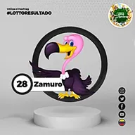 Zamuro