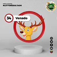 Venado