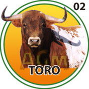 Toro