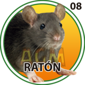 Ratón