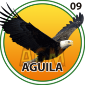Águila