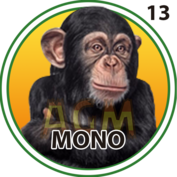 Mono