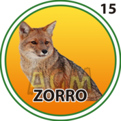 Zorro