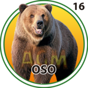 Oso