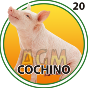 Cochino