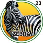 Cebra
