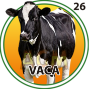Vaca