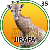 Jirafa