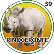 Rinoceronte