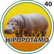 Hipopótamo