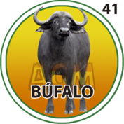 Búfalo