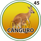 Canguro