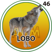 Lobo
