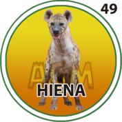 Hiena