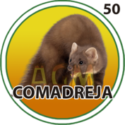 Comadreja