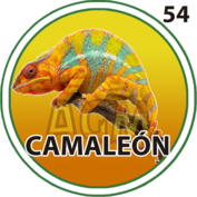 Camaleón