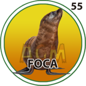 Foca