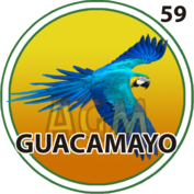 Guacamayo