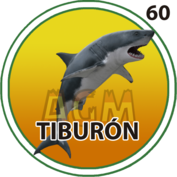 Tiburón