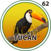 Tucán